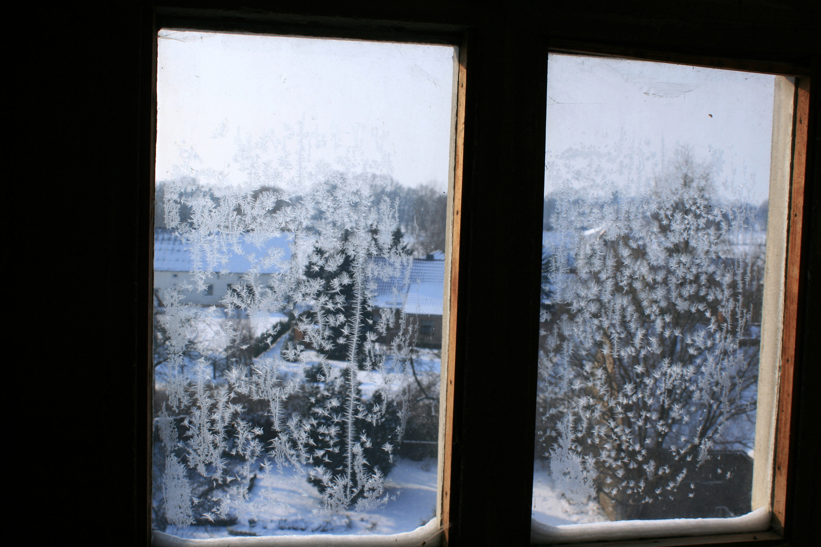 Eisblumen am Fenster