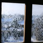 Eisblumen am Fenster