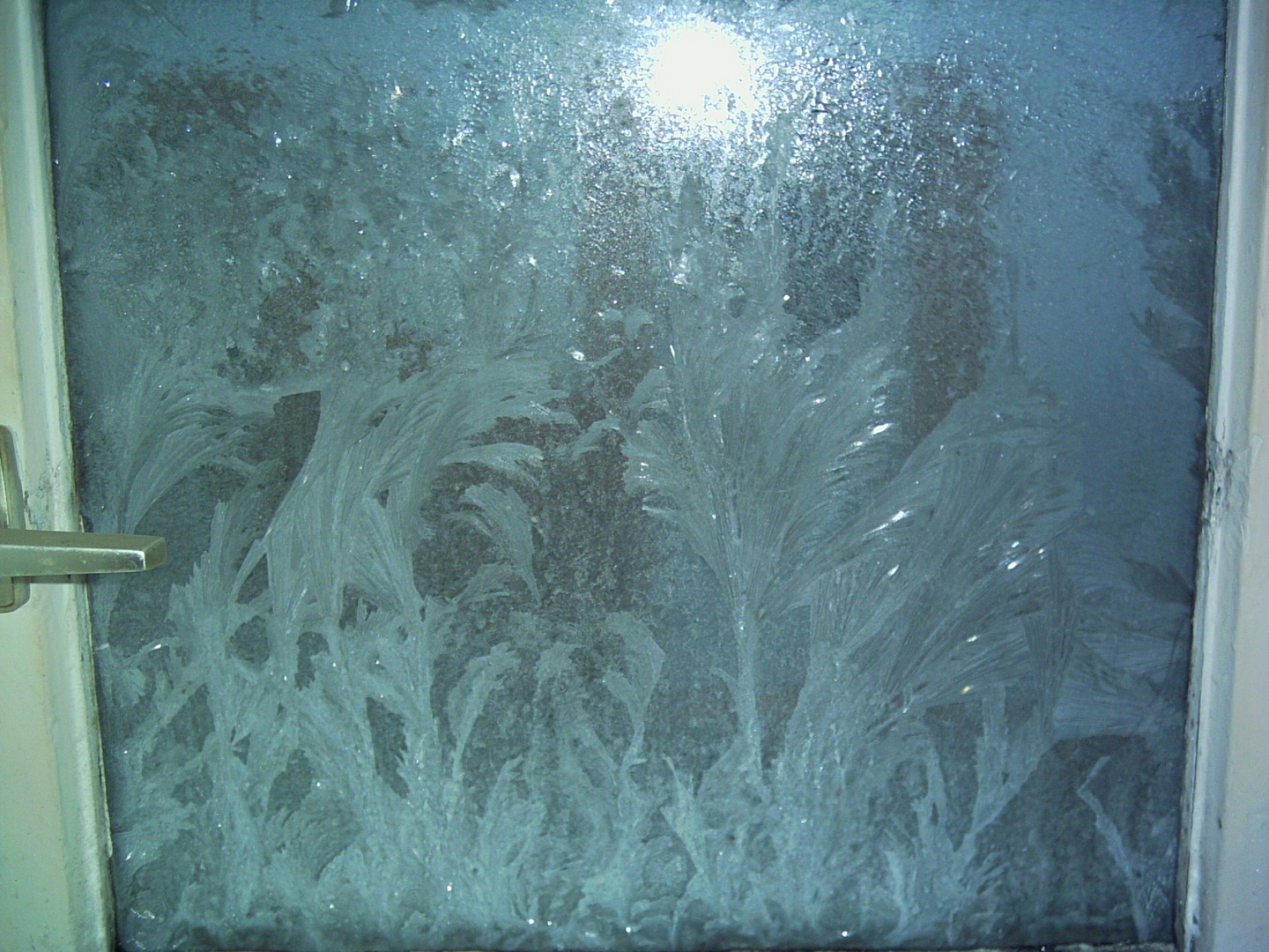 eisblumen am fenster