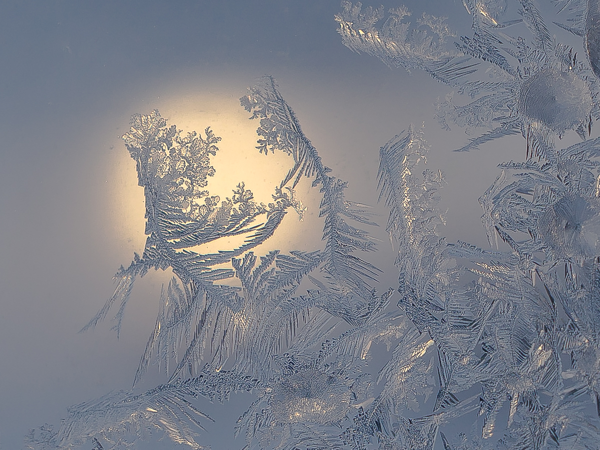 Eisblumen am Fenster 