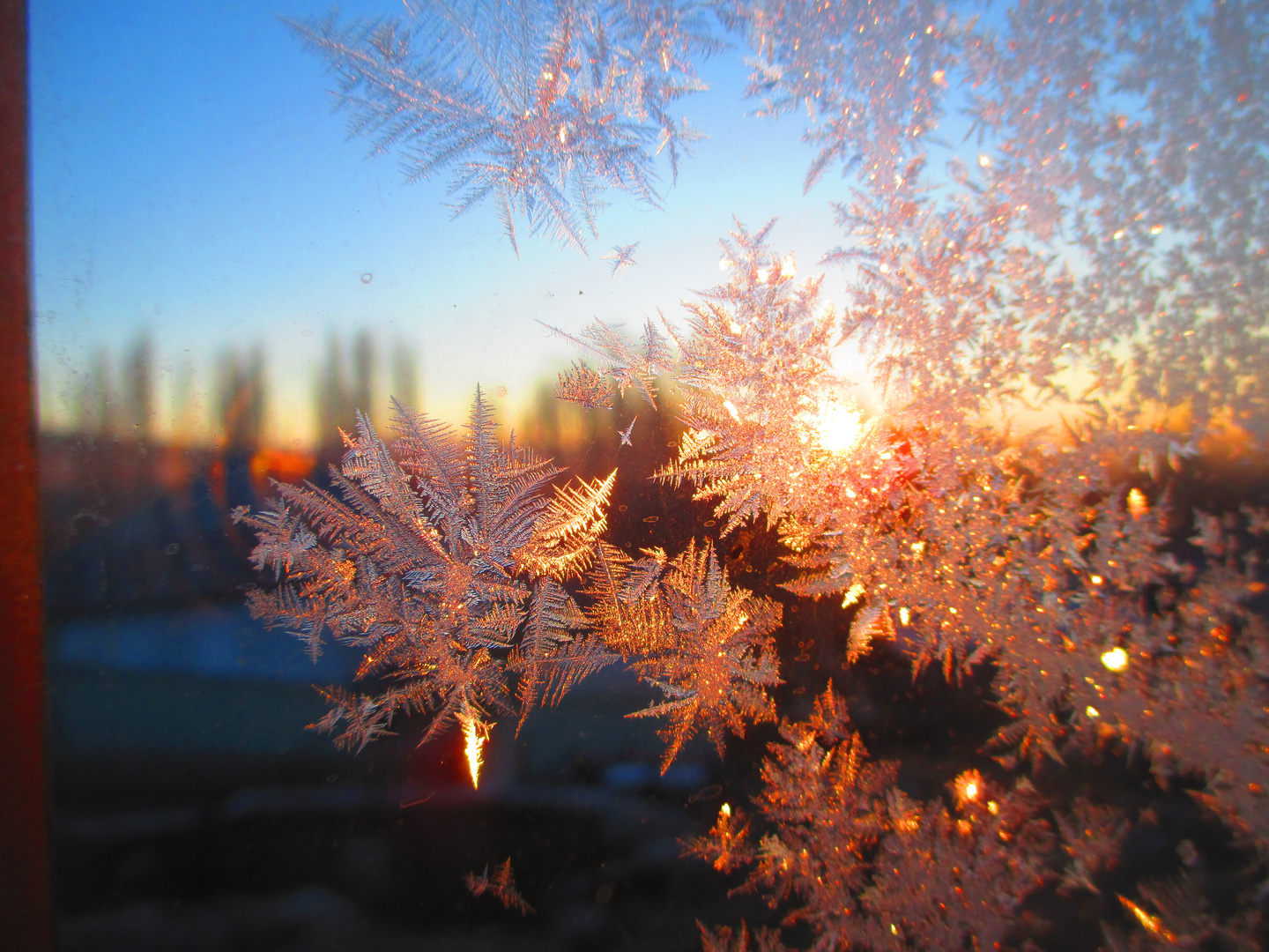 Eisblumen am Fenster