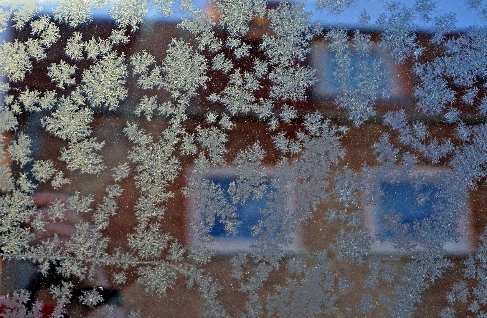 Eisblumen am Fenster Foto &amp; Bild world, makro, natur