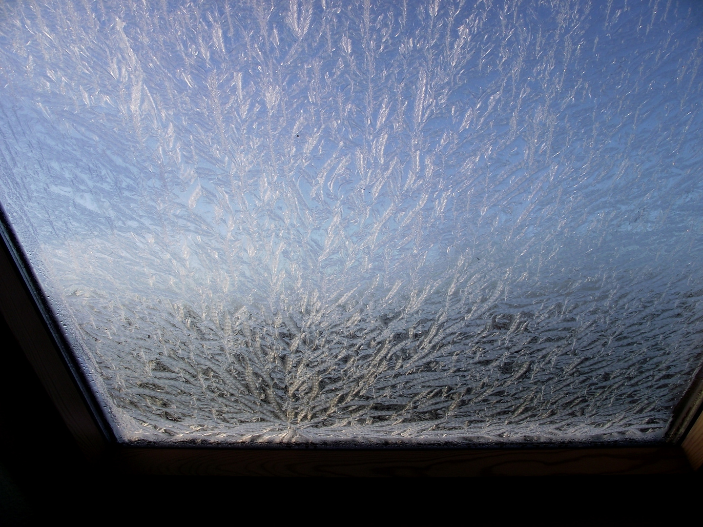 Eisblumen am Fenster