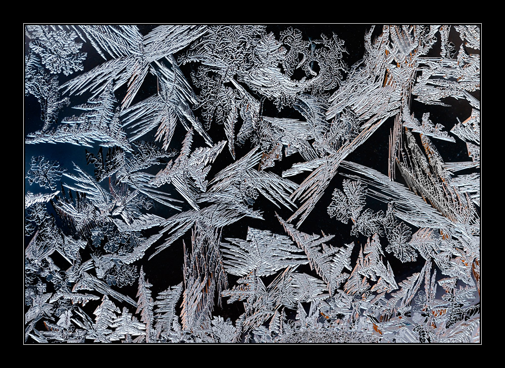 Eisblumen am Fenster