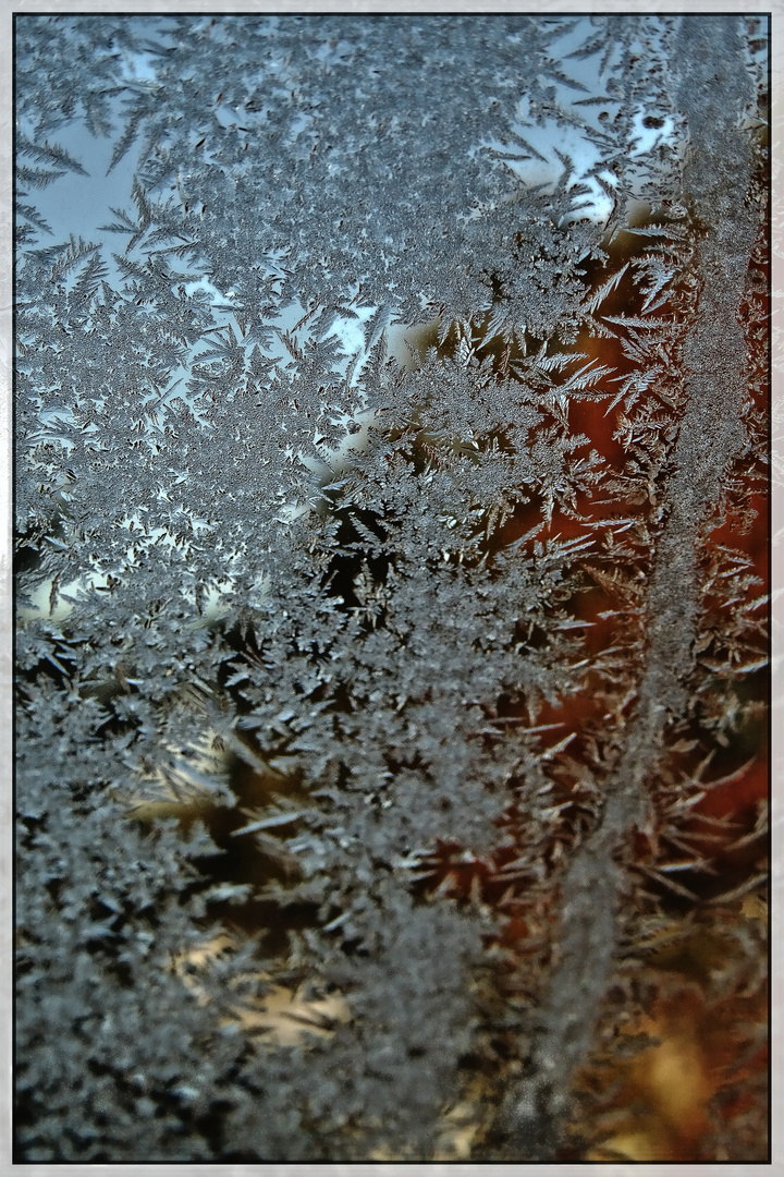 Eisblumen am Fenster