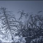 Eisblumen am Fenster & Lyrik