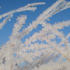 Eisblumen am Gras