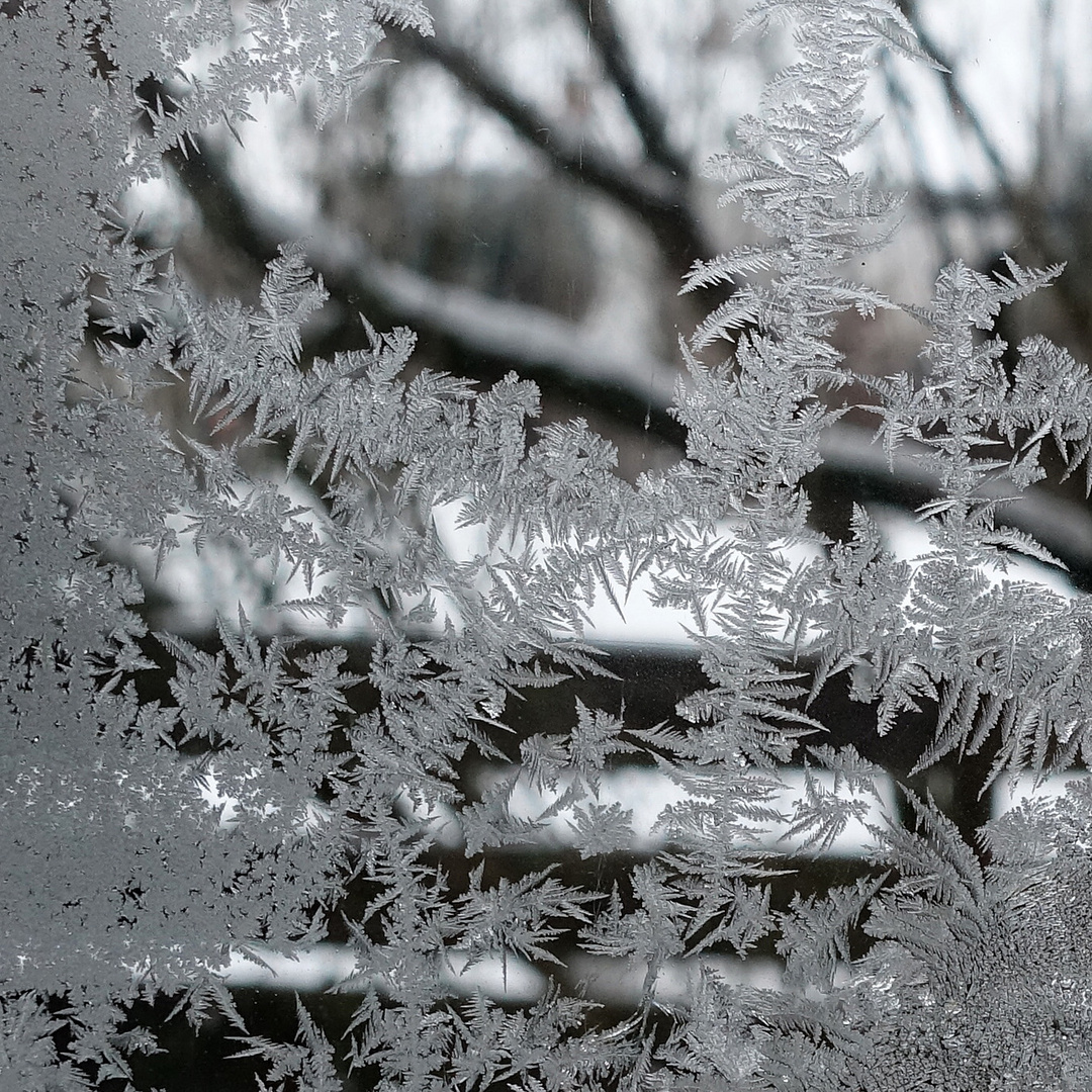 Eisblumen am Küchenfenster