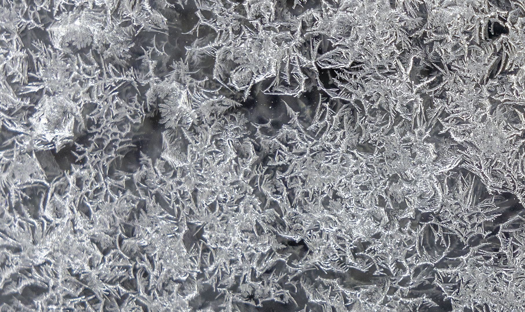 Eisblumen am Schuppenfenster