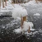 Eisblumen am Stil