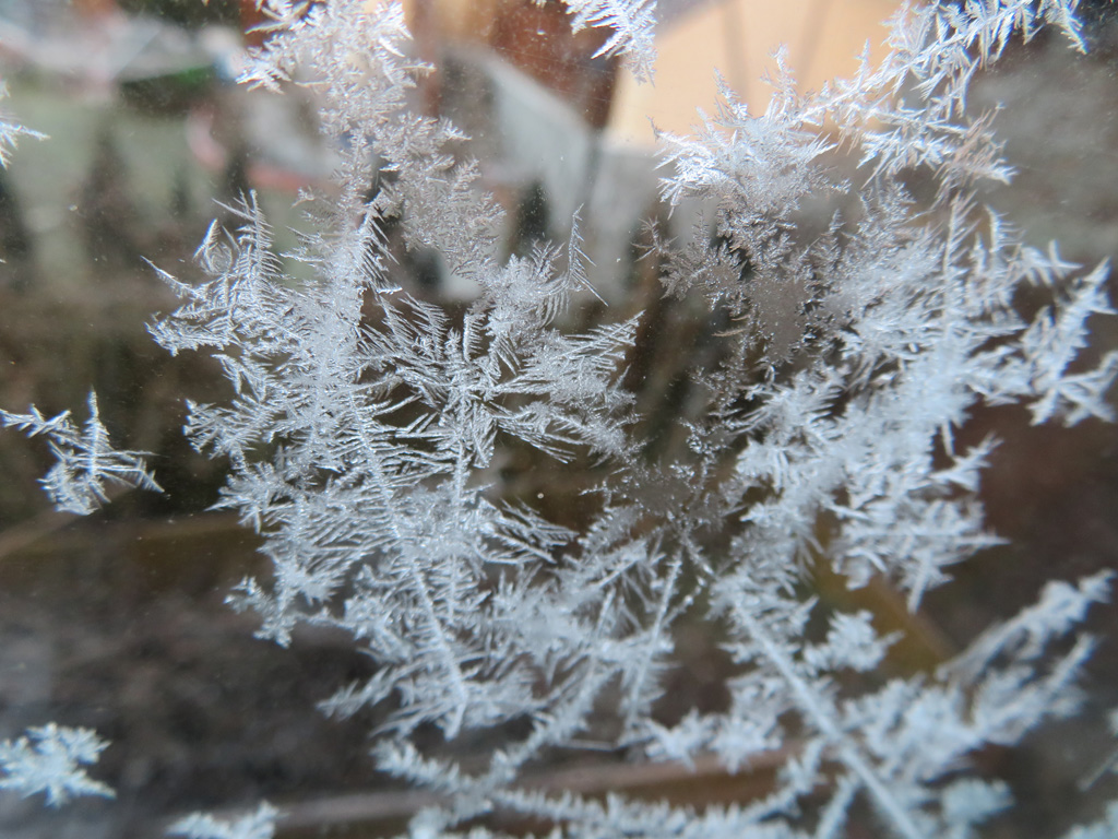 Eisblumen am Windfangfenster 1 