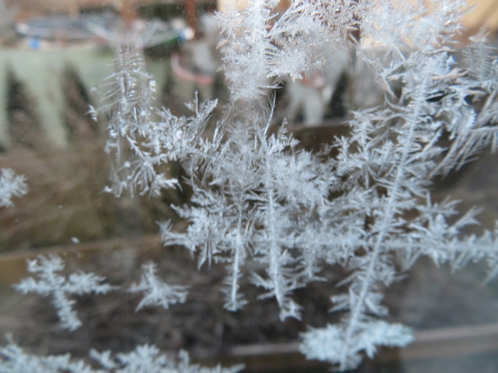 Eisblumen am Windfangfenster