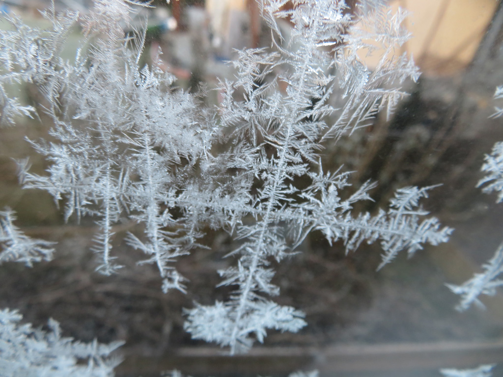 Eisblumen am Windfangfenster 2