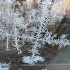 Eisblumen am Windfangfenster 2