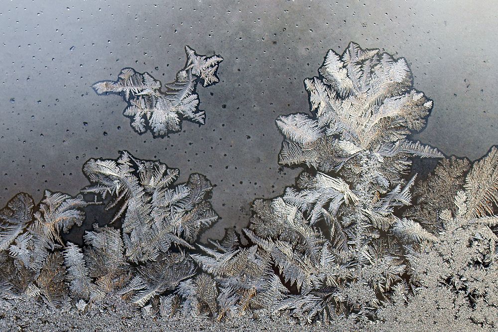 Eisblumen an der Fensterscheibe