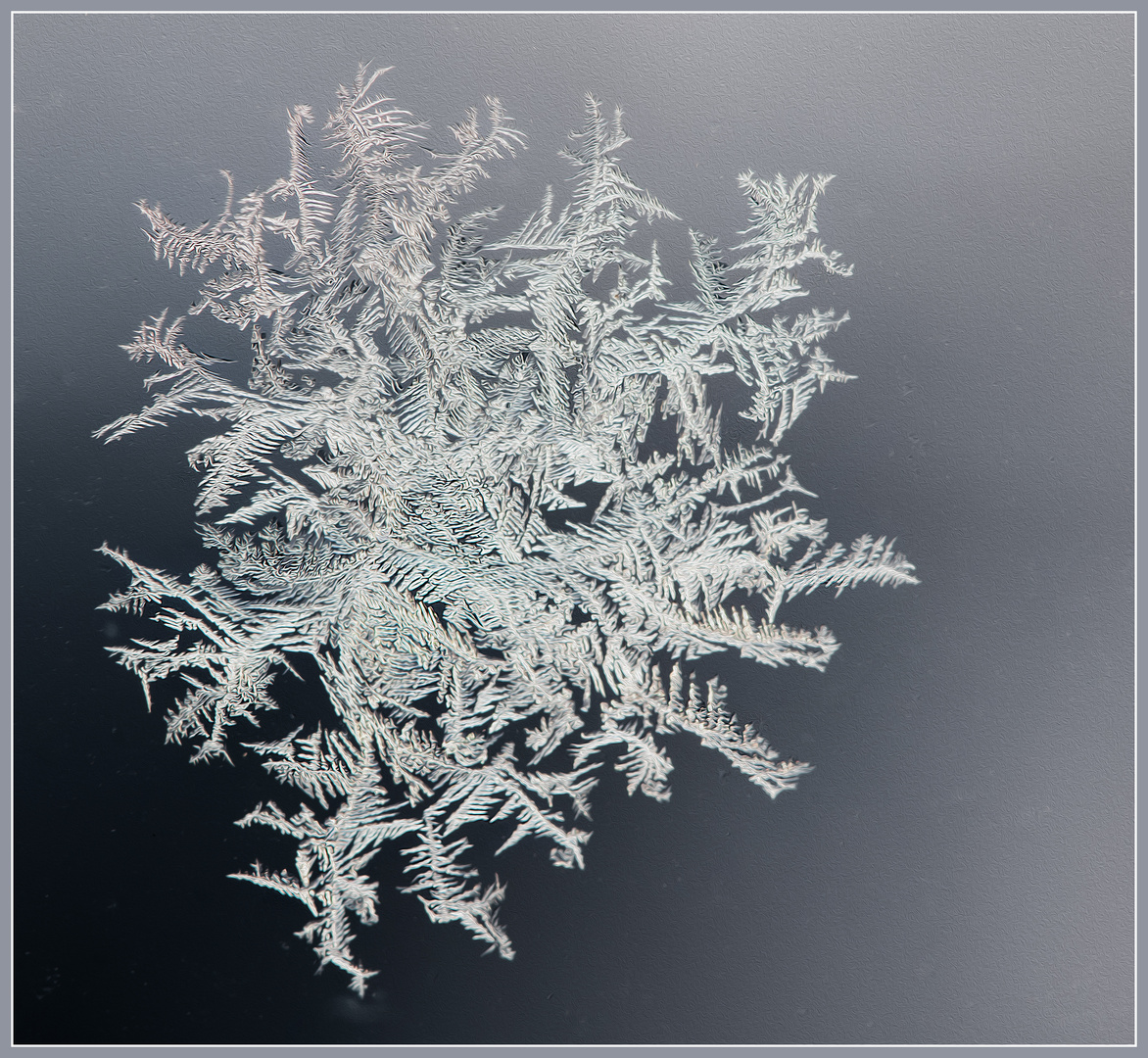 Eisblumen an der Fensterscheibe