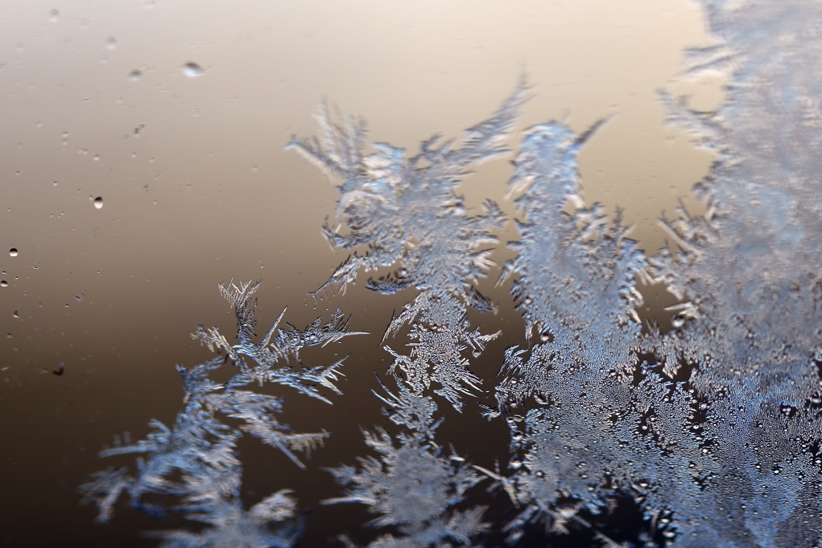 Eisblumen an meinem Zimmerfenster