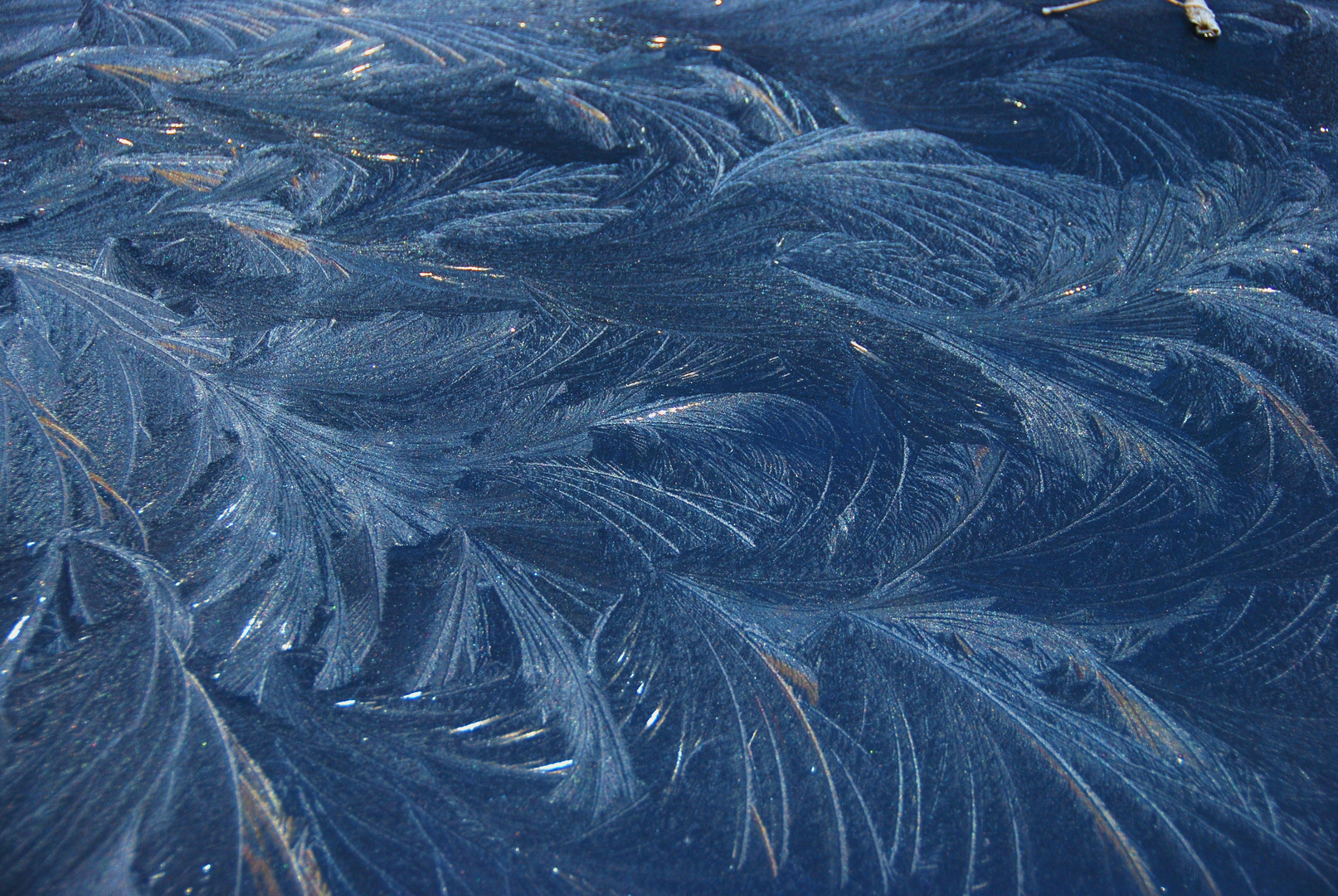 Eisblumen auf der Motorhaube