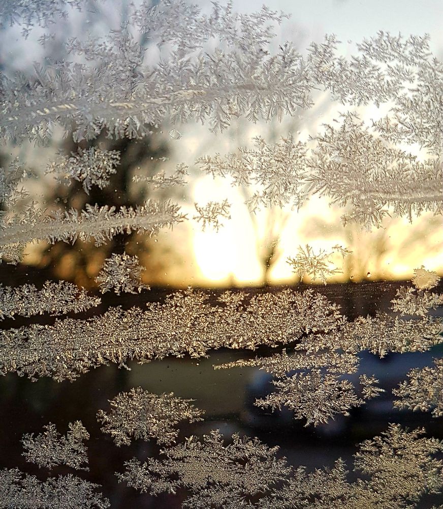 Eisblumen Foto &amp; Bild jahreszeiten, winter, kalt Bilder