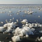 Eisblumen bei Flut