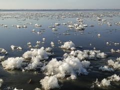 Eisblumen bei Flut