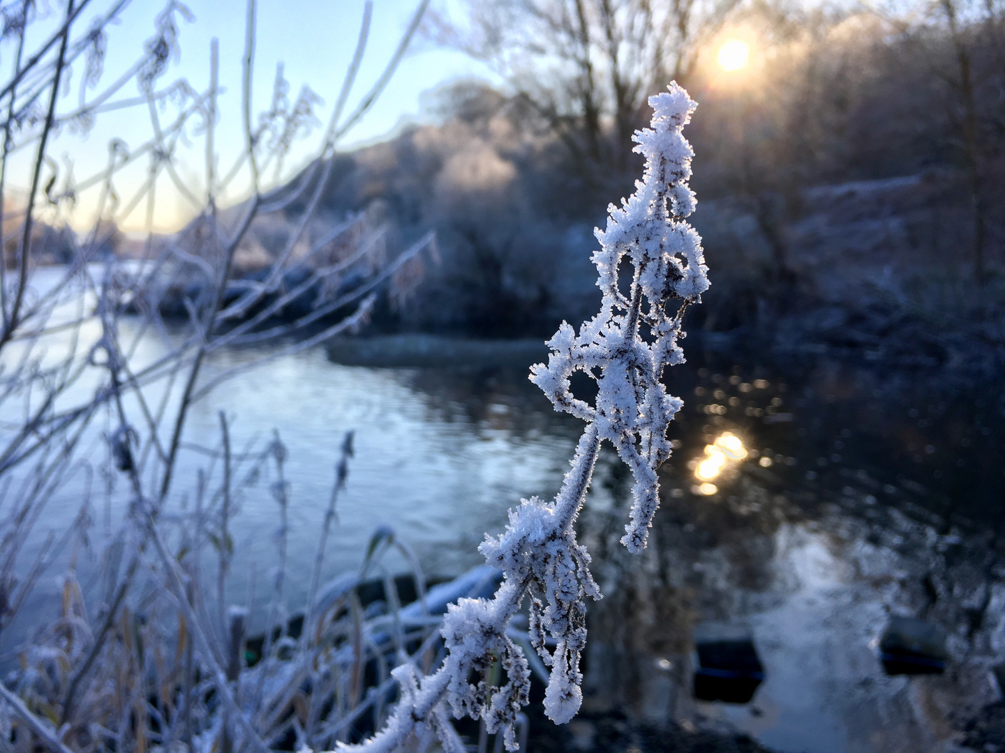 Eisblumen bei Sonnenaufgang am Ruhr-Ufer