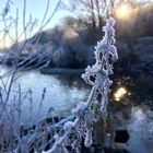 Eisblumen bei Sonnenaufgang am Ruhr-Ufer