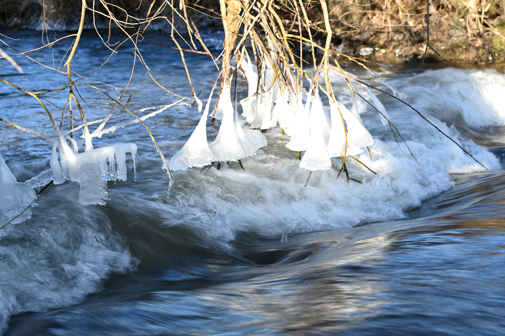 Eisblumen die Erste [unedited]