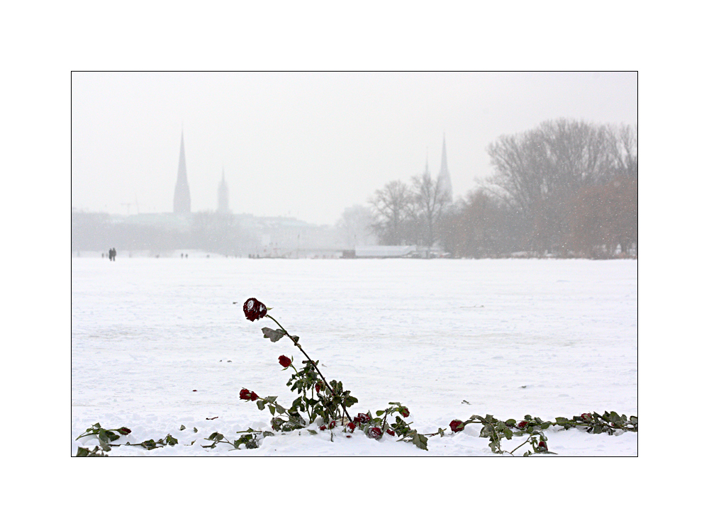 Eisblumen