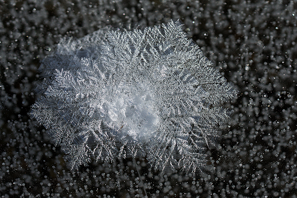 Eisblumen...