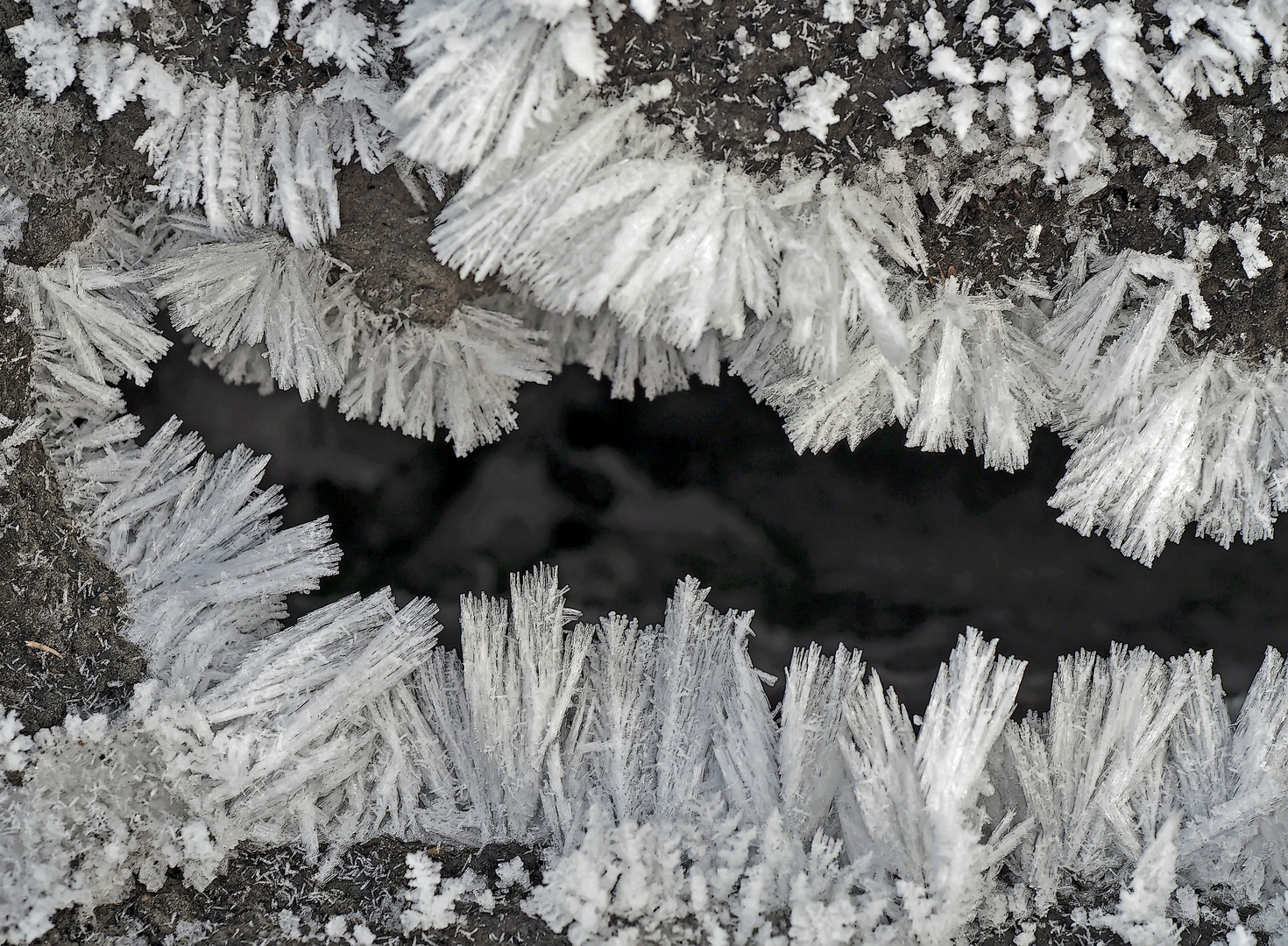   Eisblumen - Fleurs de glace...