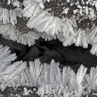   Eisblumen - Fleurs de glace...