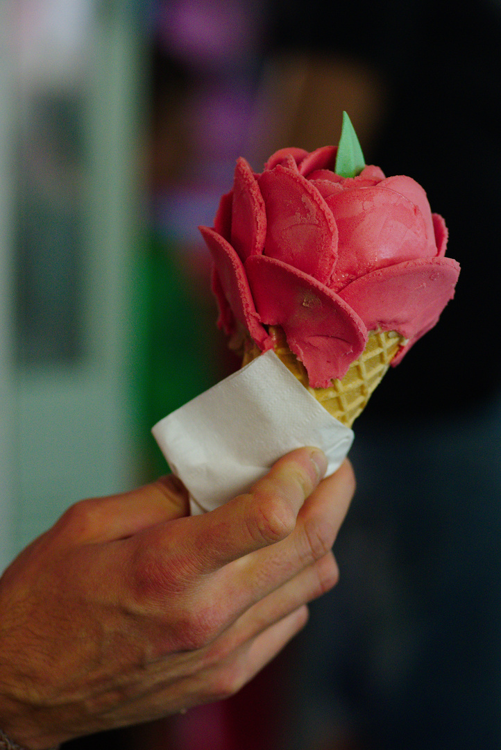 Eisblumen gibt es auch im Sommer...