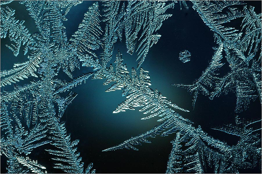 Eisblumen III Foto & Bild sonstiges, wasser im detail, eisdetails