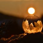 Eisblumen im Abendlicht