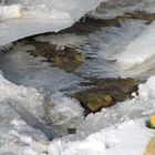 Eisblumen im Bachlauf