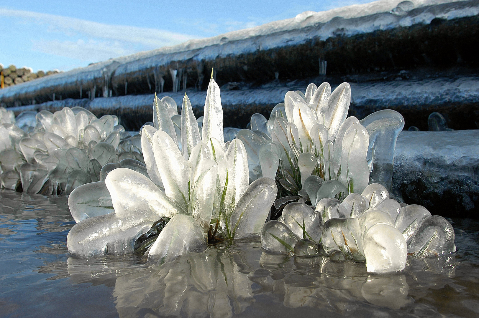 Eisblumen im Nasslager