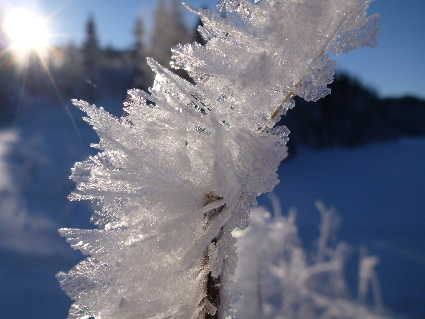 Eisblumen in Strindamarka