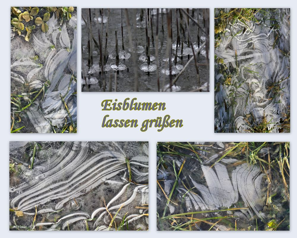 Eisblumen lassen grüßen