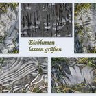 Eisblumen lassen grüßen