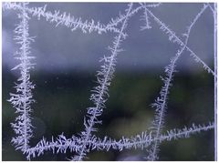 Eisblumen-Linien