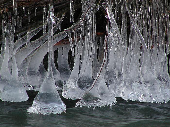 Eisblumen, mal etwas anders ...