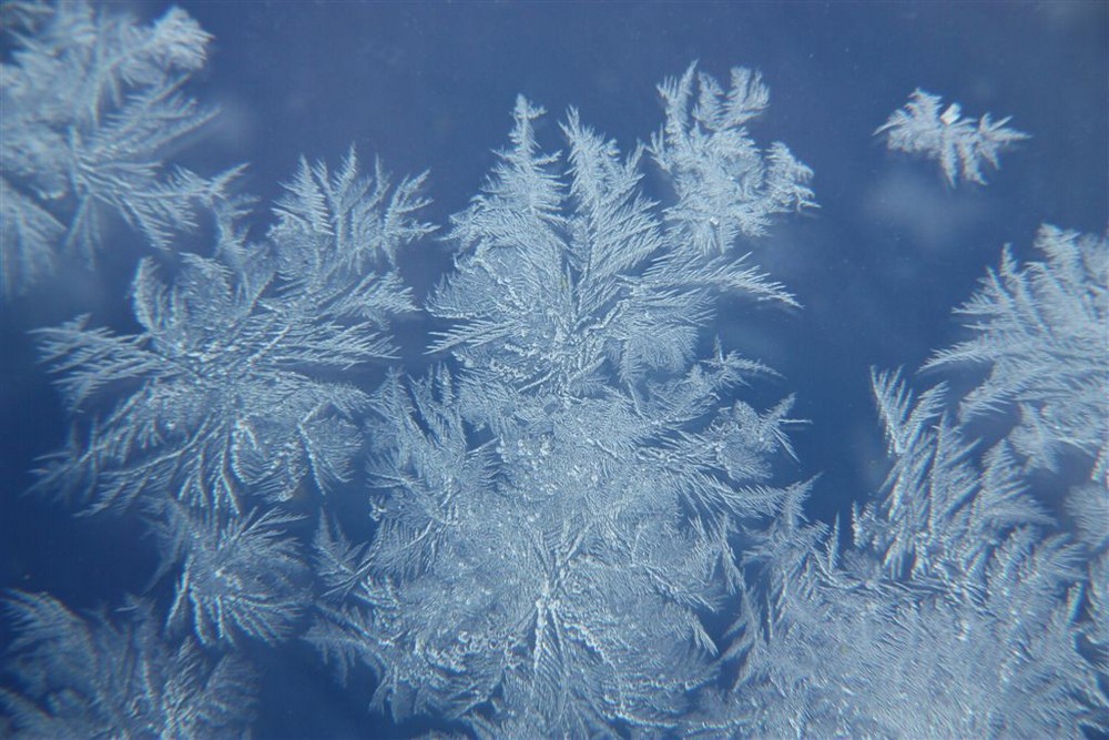 Eisblumen morgens am Fenster