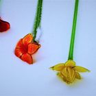 Eisblumen sind es nicht, sondern handgefertigte Blumen aus Glas im Schnee