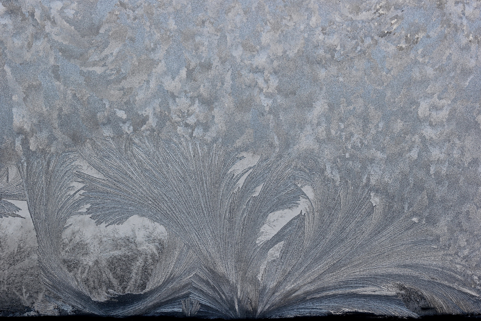 Eisblumen V Foto &amp; Bild fenster, winter, eis Bilder auf
