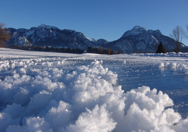 Eisblumen verzaubern den Forggensee im Ostallgäu