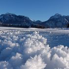 Eisblumen verzaubern den Forggensee im Ostallgäu