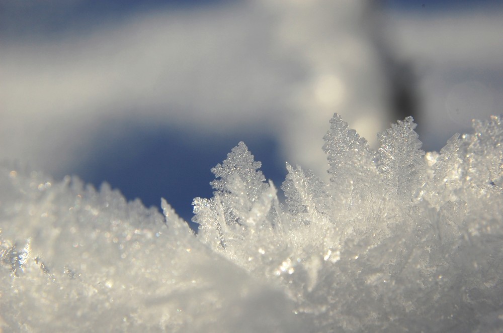 Eisblumenblätter