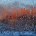 Eisblumenschmuck am Fenster