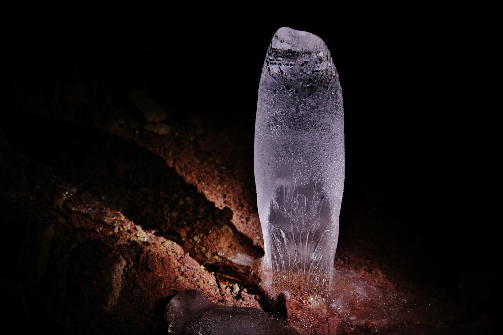 Eisblumenstrauß zum heutigen FRAUENTAG